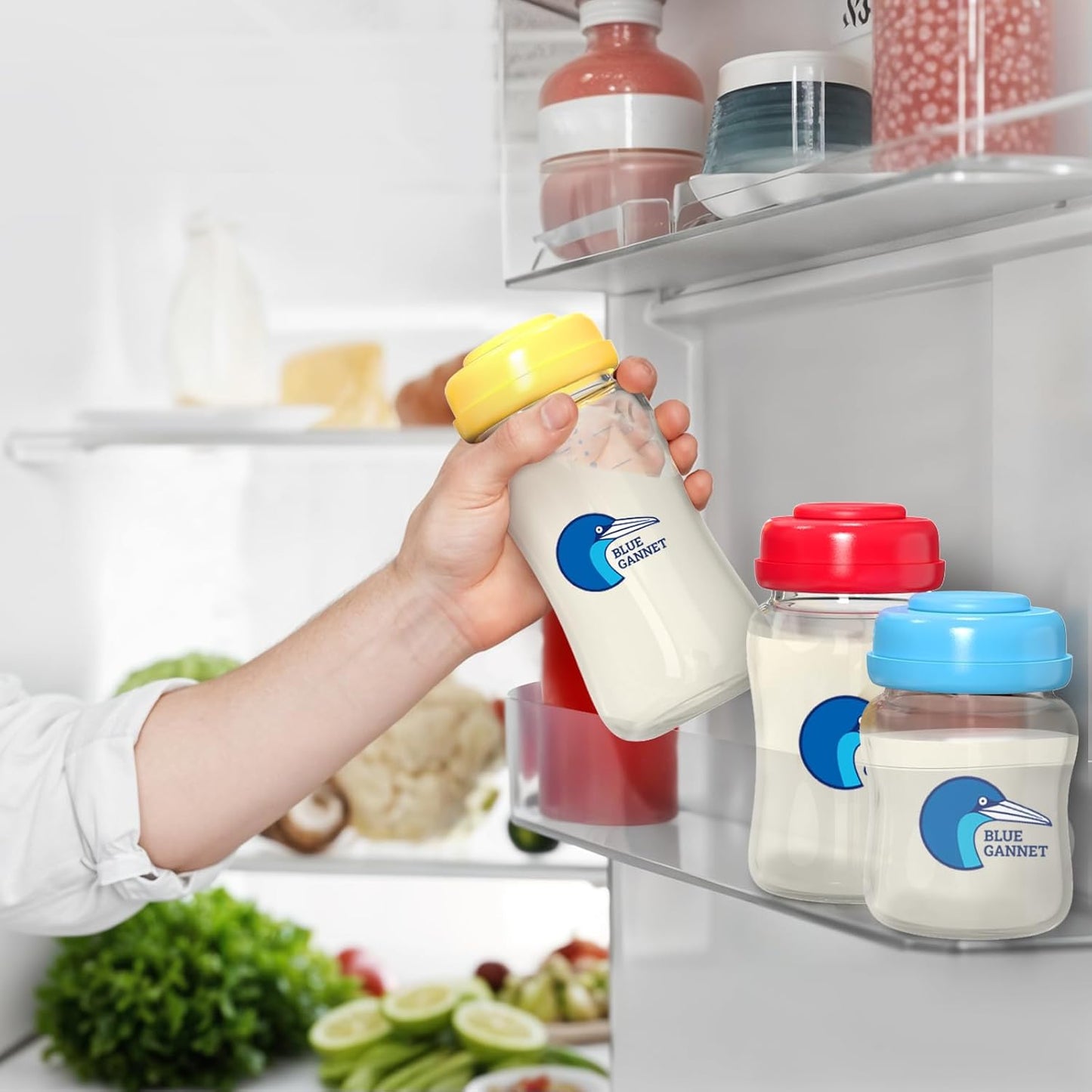 Multipurpose Anti-Colic Glass Baby Bottles with Slow Flow and Natural Flow Nipples, Breast Milk Collection and Storage Bottles, Wide-Neck Breast Pumps Compatible, 6-Pack (4oz, 6oz, 8oz)