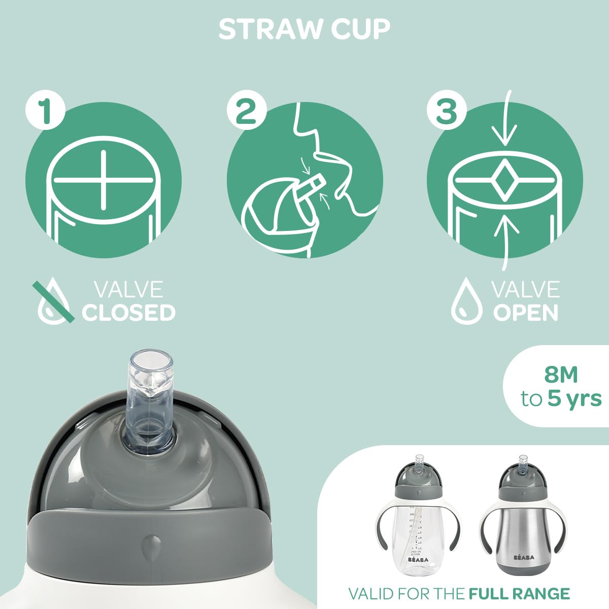 BEABA Stainless Steel Straw Sippy Cup, Insulated Toddler Cups Spill Proof with Removable Handles, Made with High Grade Stainless Steel, 8+ months, 8.5 oz, Charcoal