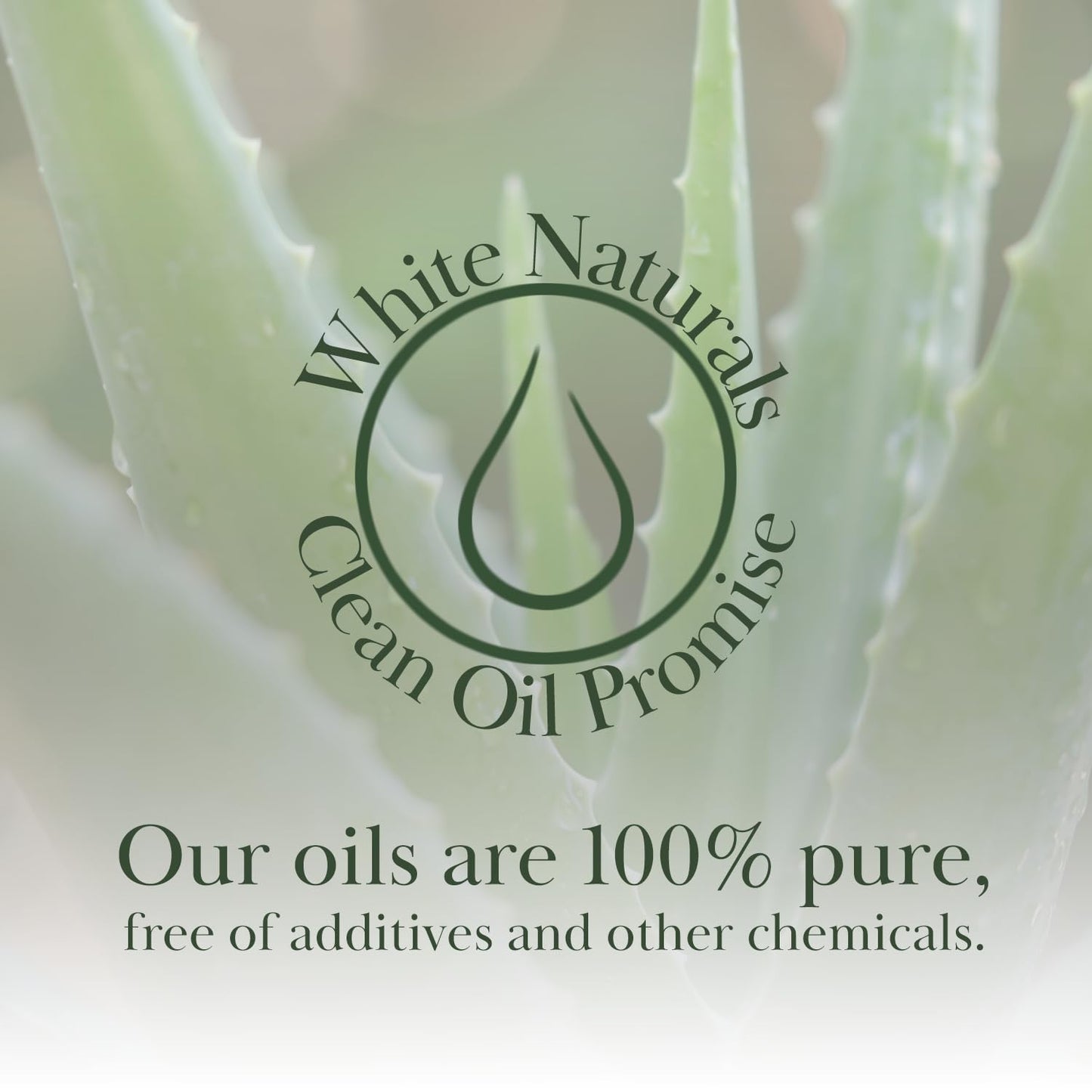Organic Aloe Vera Oil, Therapeutic Premium Oil, Moisturizing Cold Pressed 100% Pure Natural Aloe Barbadensis Care for Skin, Body, Hair Growth, Face Moisturizer, Baby Oils, Used for Massage, Bath 4oz