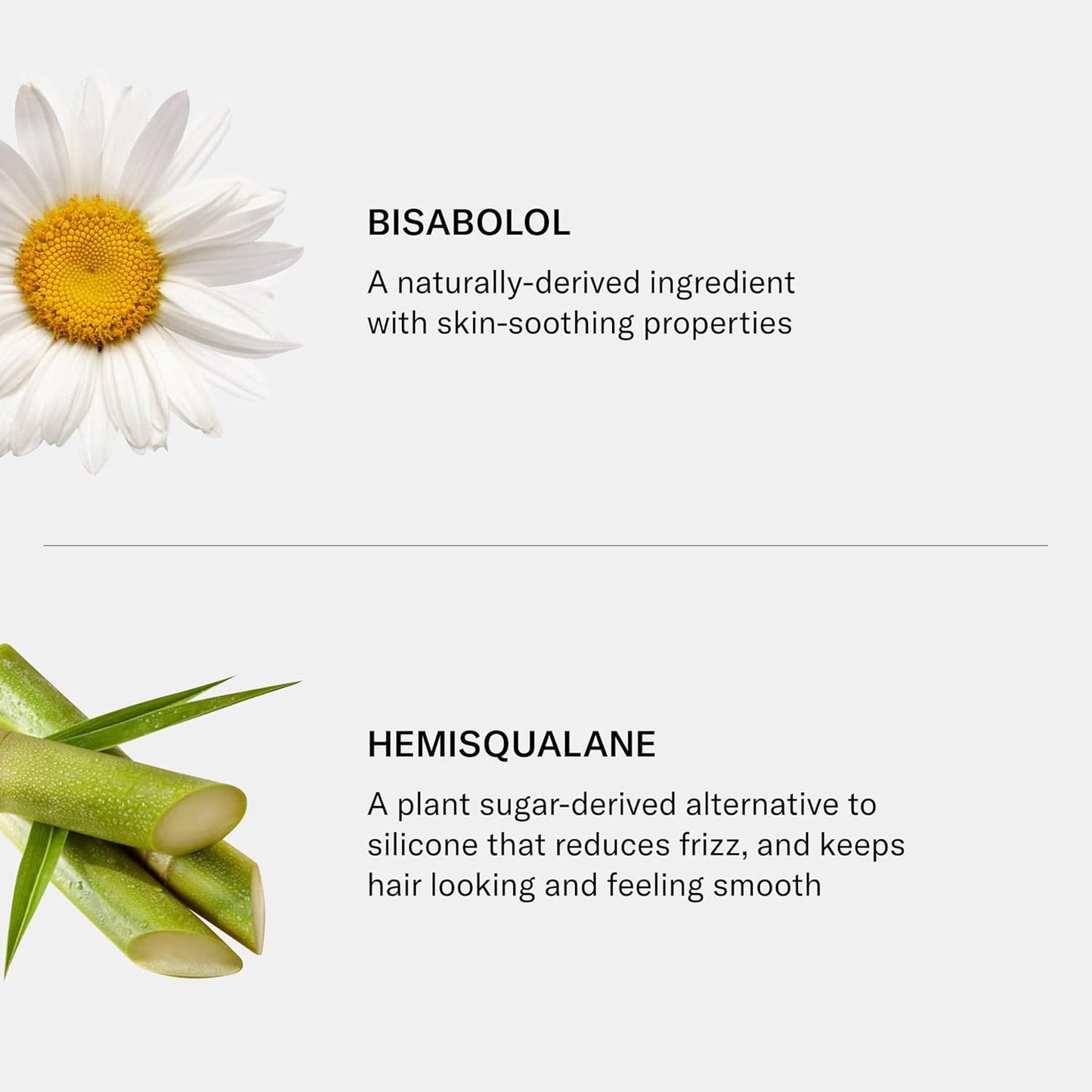 SEEN Shampoo, Fragrance Free - Non-Comedogenic & Hair Shampoo- Dermatologist-Developed - Safe for Sensitive, Eczema & Acne Prone Skin