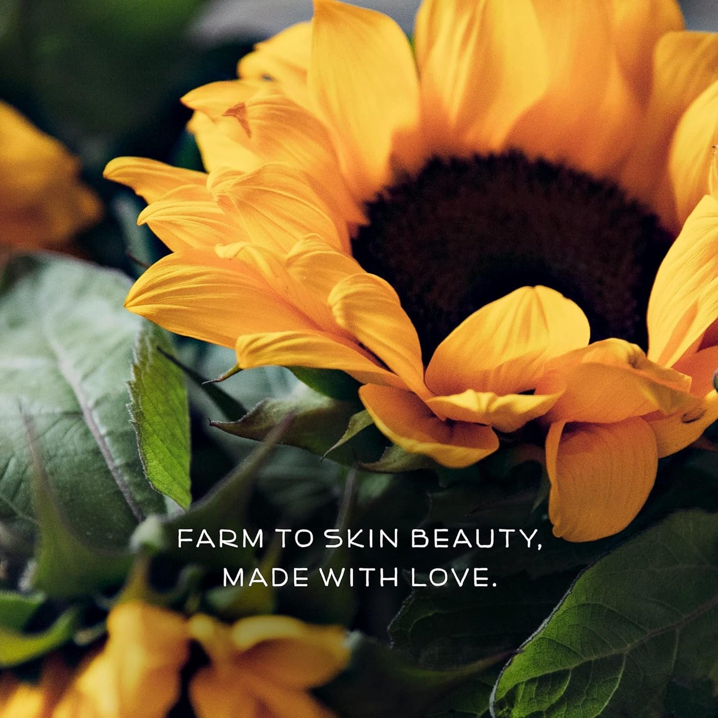 Farmstead Apothecary Baby Lotion- 100% Plant based & Organic- Wildflower 6 oz