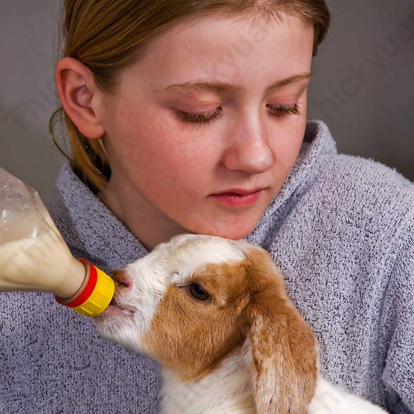 Pritchard Nipples for Nursing Lambs and Goat Kids,10-Pcs