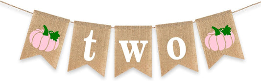 Two Pumpkin Banner 2nd Birthday Party Decoration Little Pumpkin Fall Autumn Second Birthday Highchair Burlap Garlands Pink