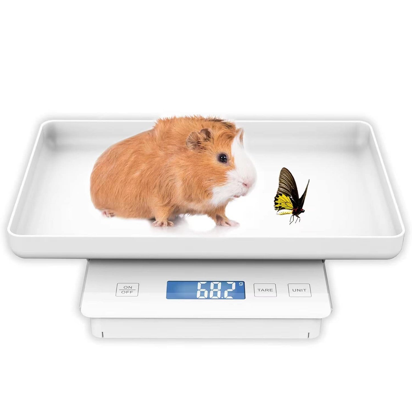 11lbs/0.1g Pet Scale for Small Animal, Whelping Scale, Guinea Pig Weighing Scale, High Precision 0.003oz, Suitable for All Newborn Pets, Kittens, Turtles,