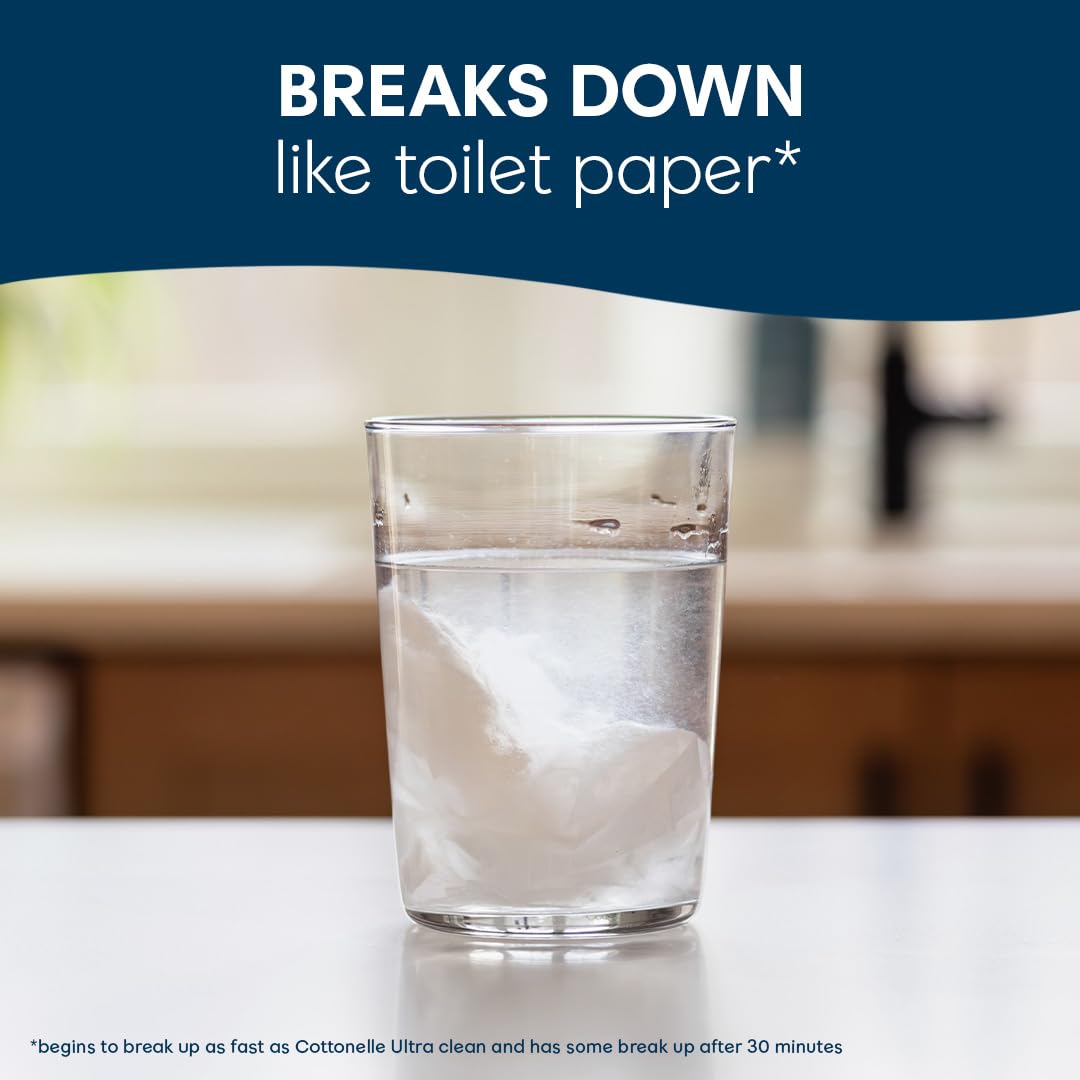 Cottonelle XL Flushable Wet Wipes, Adult Wipes Large, 2 Flip-Top Packs, 45 Wipes Per Pack (90 Total Wipes), Packaging May Vary