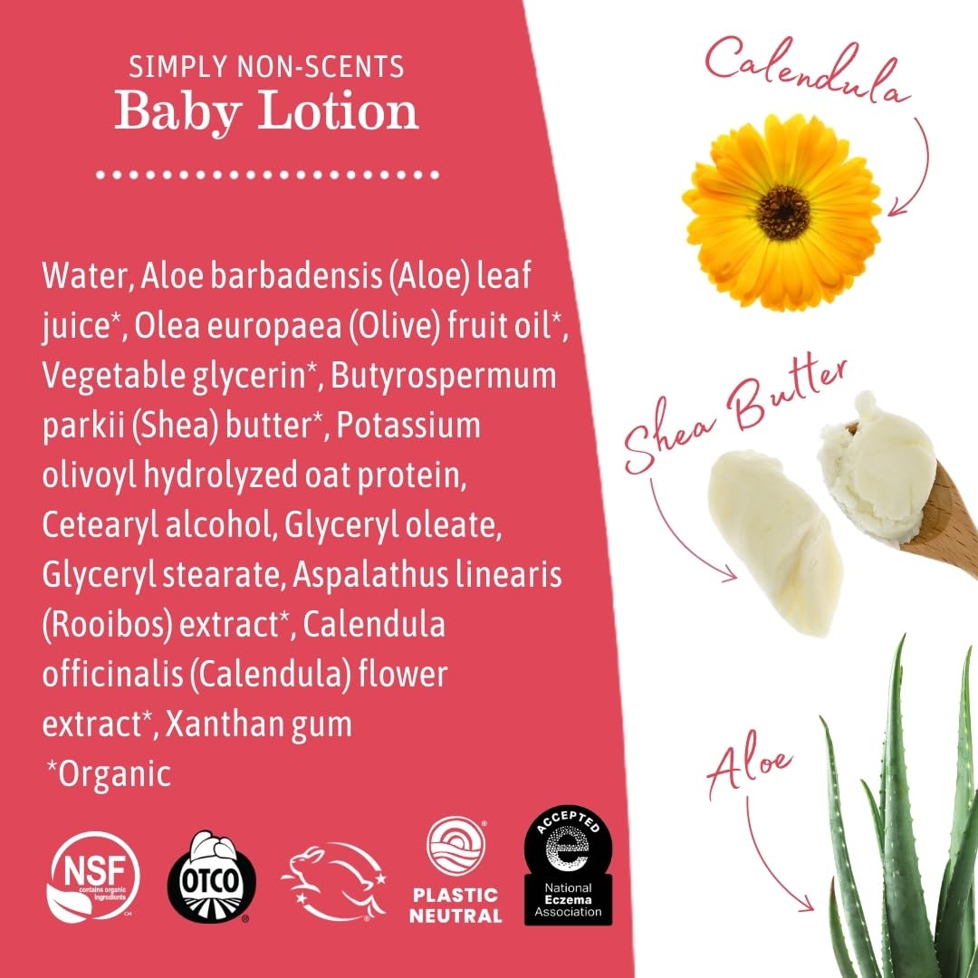 Earth Mama Simply Non-Scents Baby Lotion for Dry Skin, Calendula Cream, Skin Care for Kids, Organic Moisturizer, Unscented Lotion with Aloe, Rooibos, & Shea Butter, 8-Fl oz (2-Pk)