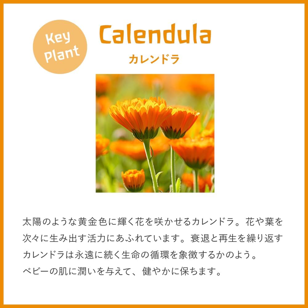 Weleda Karen Dora Baby Wash & Shampoo (whole-body cleanser) 200ml