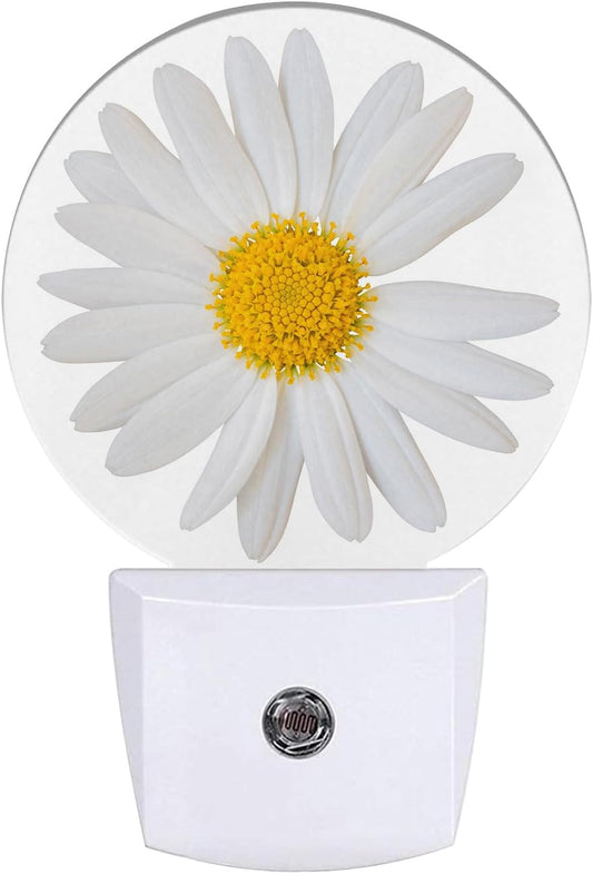 Daisy Night Light Chamomile Night Lights LED Lamp Round Plug into Wall Nightlight with Dusk to Dawn Sensor Home Hallway Stairway Kitchen Decor