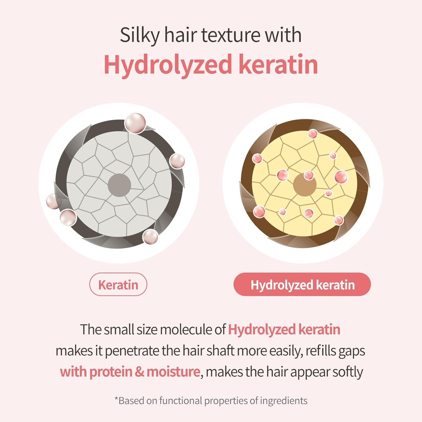 Official Perfume Shampoo (Flora Bouquet Scent - 16.90 Fl Oz)