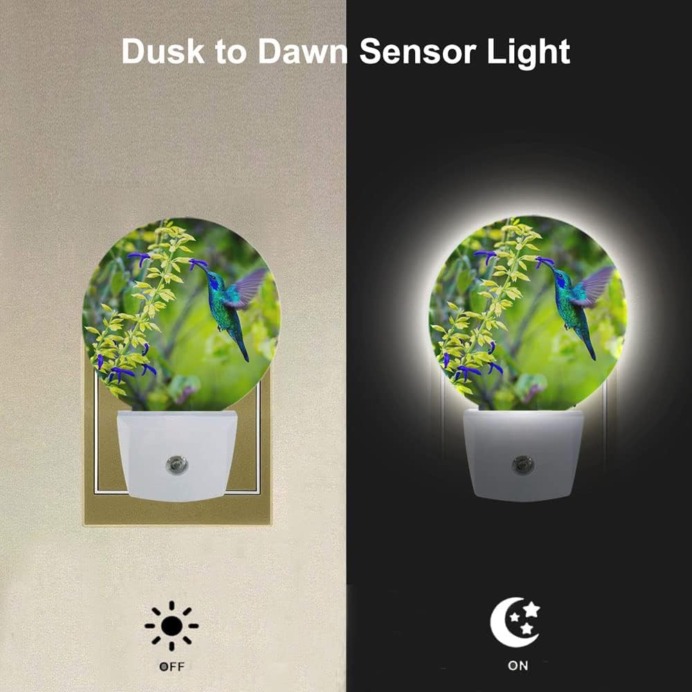 EKOBLA Blue Hummingbird Night Lights Plug into Wall Spring Garden Bird Flowers Plants LED Dusk to Dawn Plug-in Nightlights Auto Sensor for Home Indoor Bathroom Hallway Kitchen