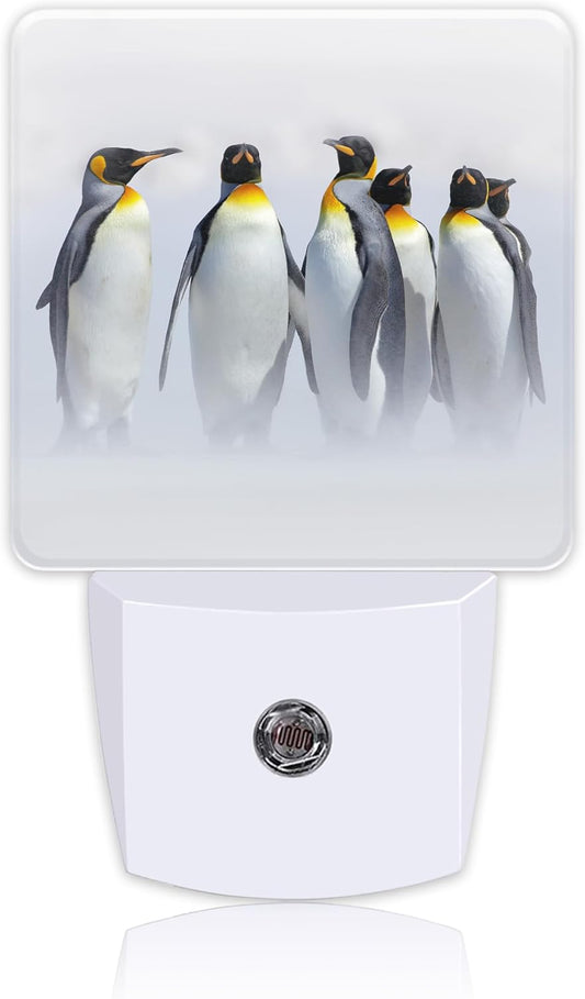 Night Light for Kids Girls Boys, King Penguins in White Habitat LED Night Light Plug into Wall with Dusk to Dawn Sensor for Room Decor, Hallway, Kitchen, Bathroom, Nursery, Stairs