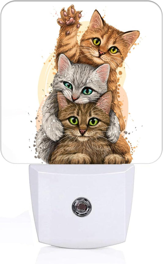 Three Cute Kittens Night Light,Plug Into Wall for Boys Girls Bedroom Decorative Square Night Light Lamp 0.5w Sleep Friendly