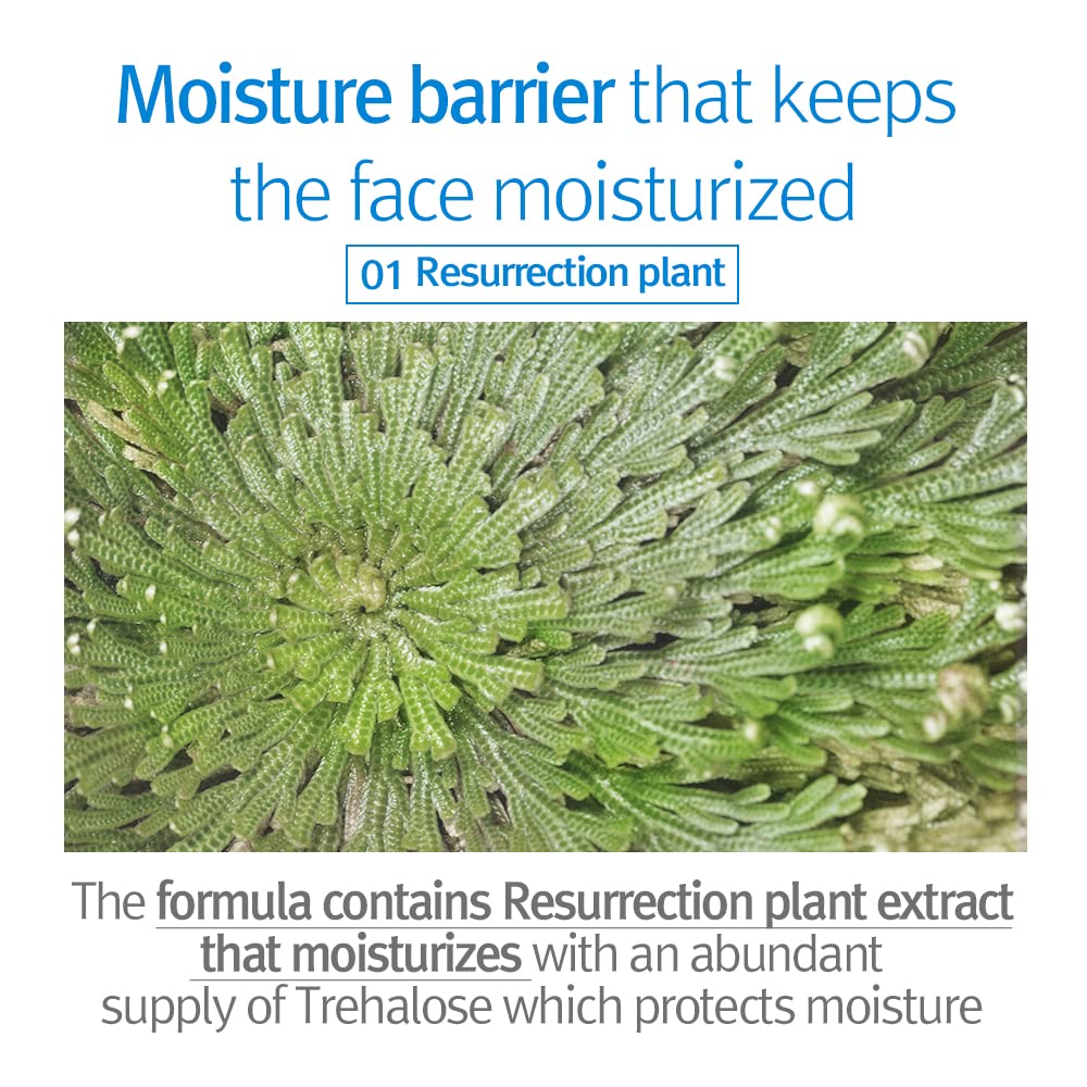 Pyunkang Yul PKY Kids & Baby Lotion Moisturizer with Ceramide, Hyaluronic Acid, Lecithin, Cica, Calming, Hydrating, Soothing, Moisturizing Cream for All Skin Types, Fragrance Free, 19.9 Fl.Oz. 590ml.