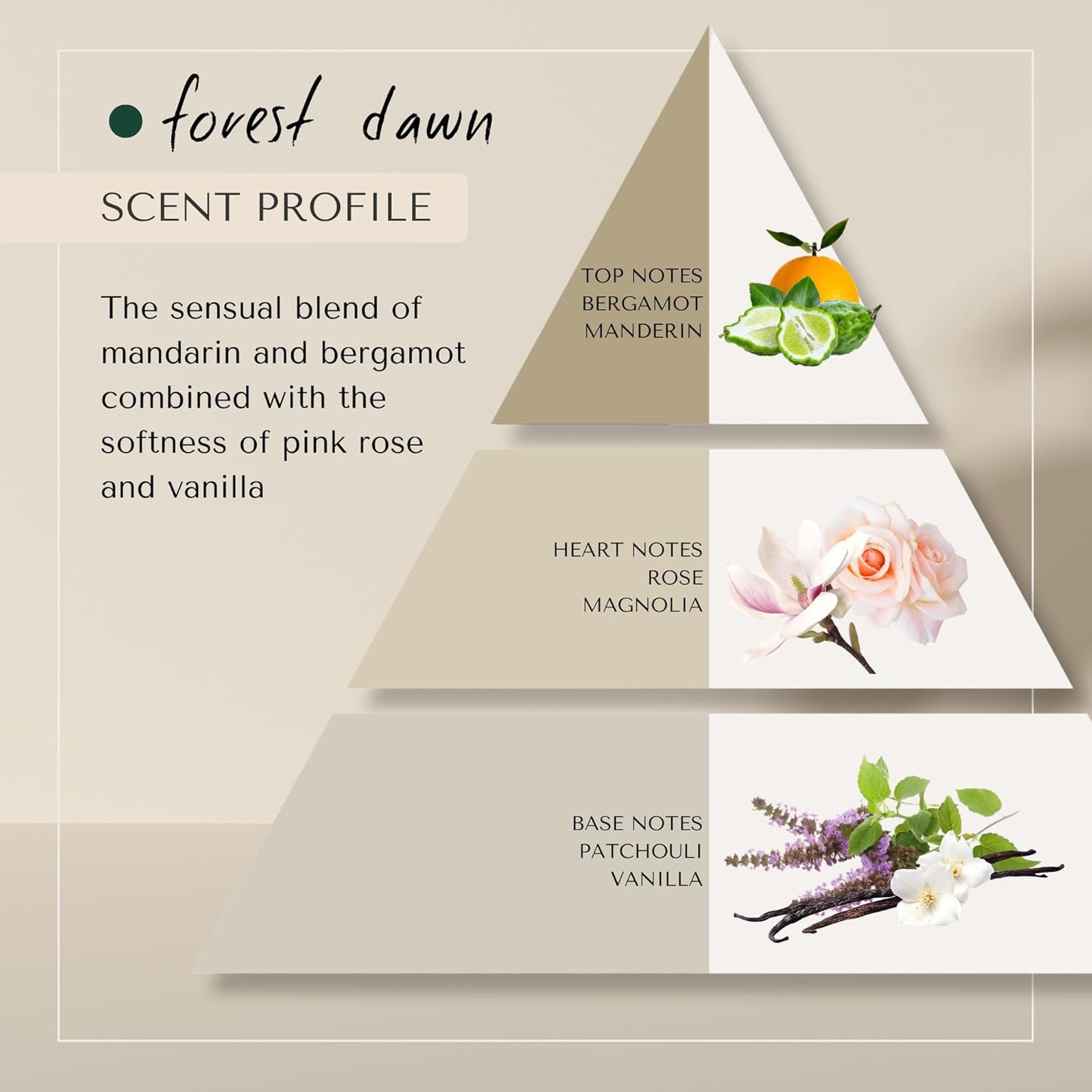 Forest Dawn Toning Blue Pigment Shampoo | Dutch Made No-Orange Neutralizer for Undesirable Orange and Copper Tones | Sweet, fruity scent of Mandarin, Bergamot, Pink Rose & Vanilla 250 ML