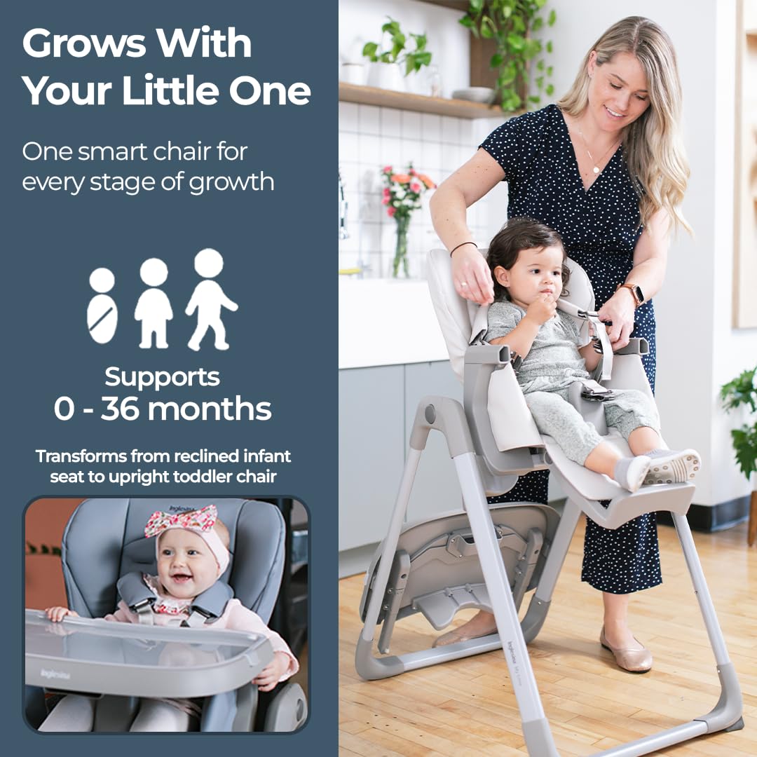 Inglesina My time Highchair, Mint - Adjustable High Chair for Babies & Toddlers, 4 Height & 3 Recline Settings, Collapsible, Tool-Free Assembly, BPA Free, Removable Tray for Easy Cleaning