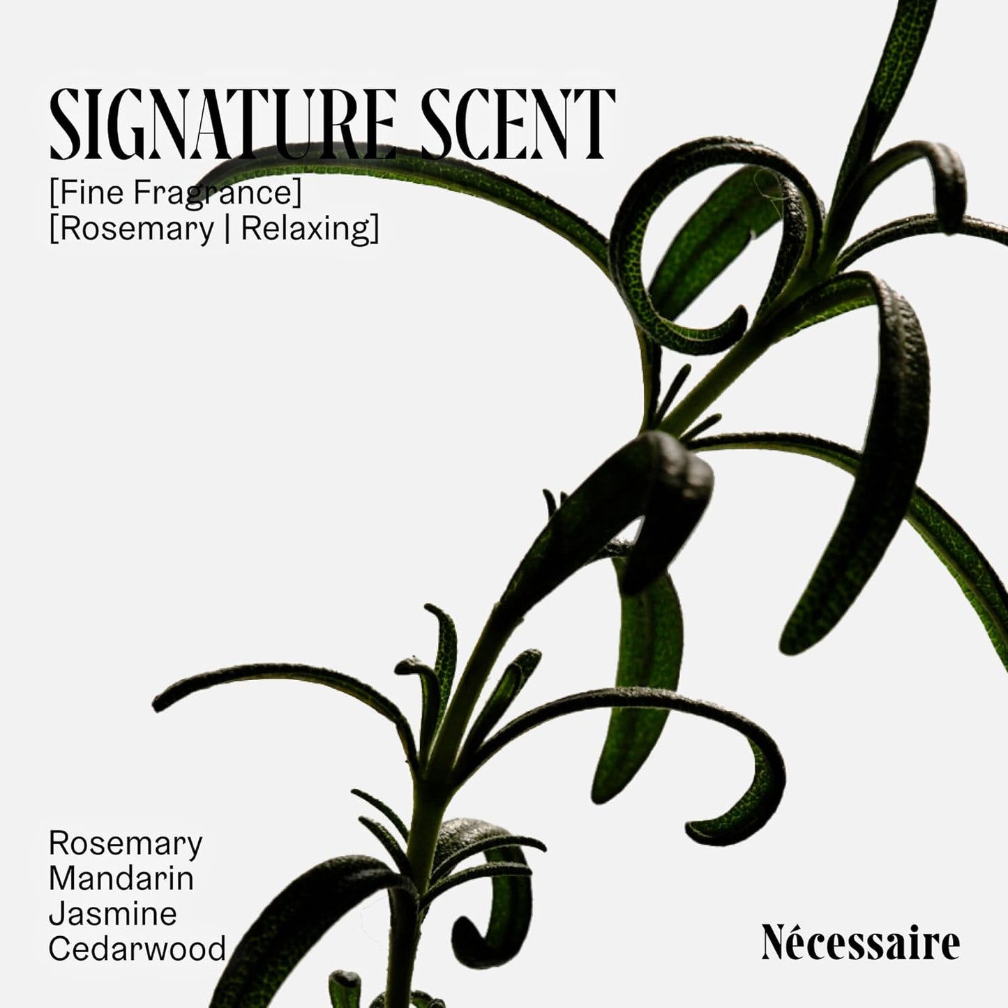 Nécessaire Rosemary Conditioner With Pump | Multi-Protein Strengthening Conditioner For Thinning Hair. For Women + Men. Good For All Hair Types/Textures. Color-Safe. 500 ml / 16.9 oz