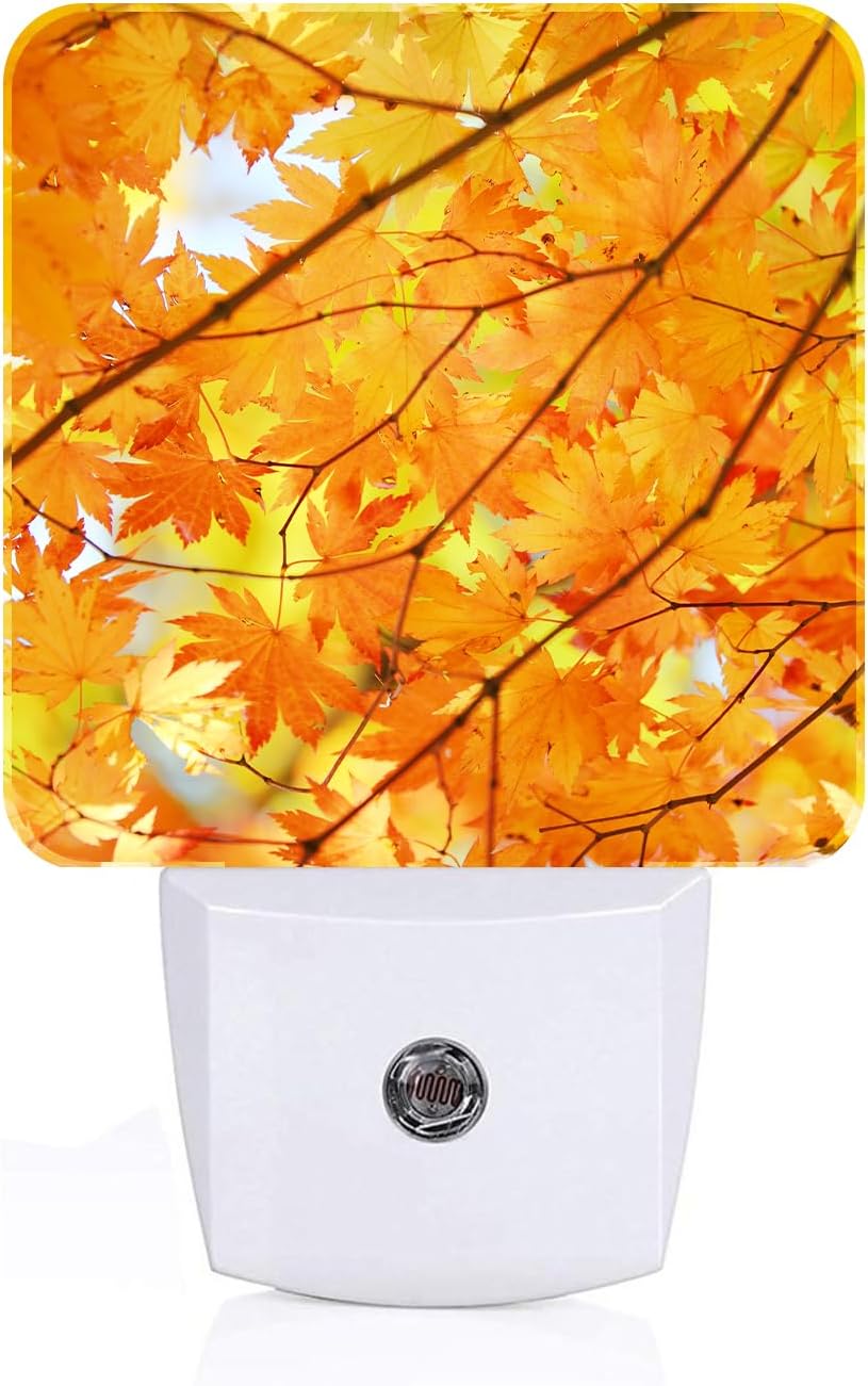 Autumn Maple Leaves Night Light,Plug Into Wall with Dusk to Dawn Light Sensors, Warm Nightlights for Bedroom, Bathroom, Hallway, Kitchen, Gifts Ideal for Boys Girls Women Men
