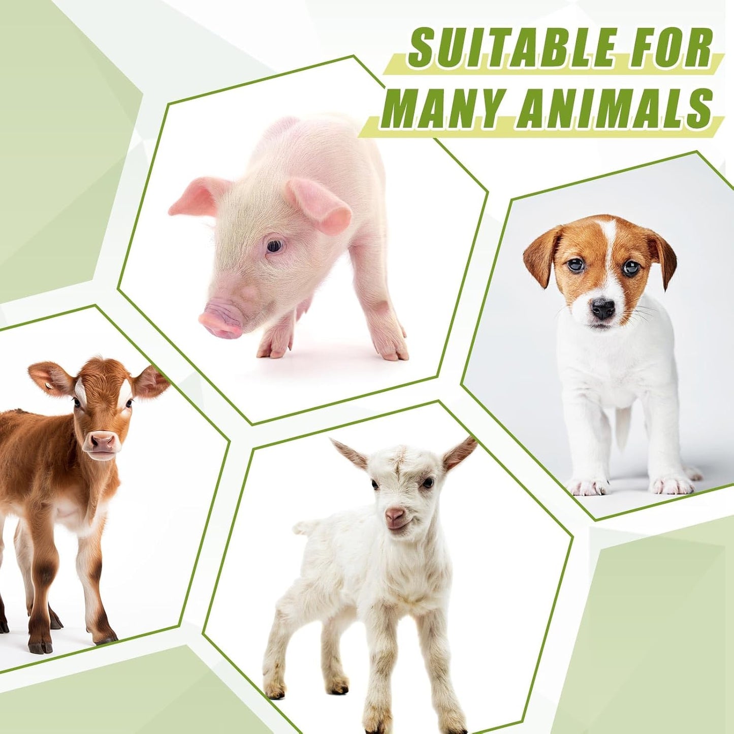 3 Pacifier Small Animal Milk Feeder 3 L/101.45oz Puppy Lamp Goat Milk Feeder Farm Water Bottle Dispenser Animal Drinking Equipment for Professional Breeding