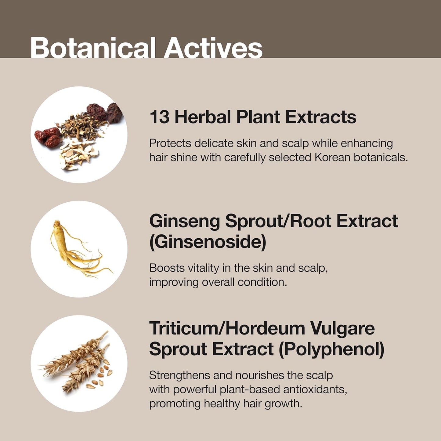 SHAMPOO & BATH – Tear-Free 2-in-1 Organic Korean Baby Shampoo & Wash, Vegan Cleanser for Hair, Face & Body, Gentle, EWG Verified, Non-Toxic (11.29 fl oz / 320g)