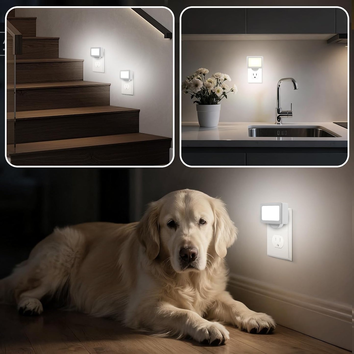 4-Pack LED Night Light Plug in with Adjustable 180° Swivel Head, Dusk to Dawn Auto On/Off, Daylight 5000K 100LM, for Kitchen Counter, Desk, Staircase, Hallway, BathroomNon-Dimmable