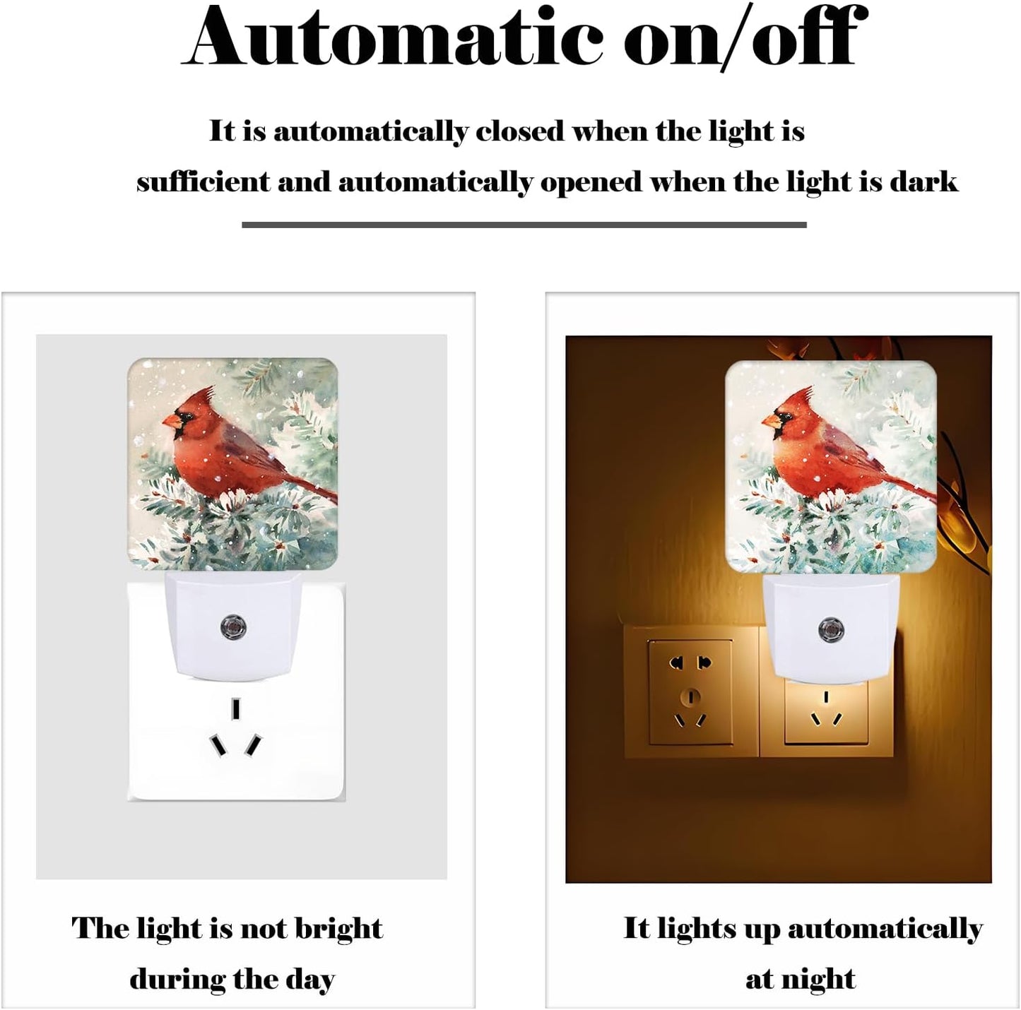 Winter Cardinal Bird Night Light,Plug Into Wall for Boys Girls Bedroom Decorative Square Night Light Lamp 0.5w Sleep Friendly