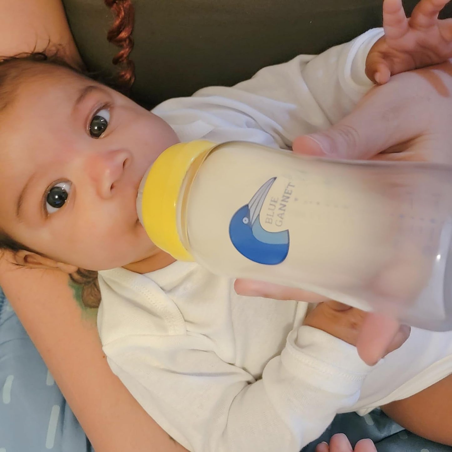 Multipurpose Anti-Colic Glass Baby Bottles with Slow Flow and Natural Flow Nipples, Breast Milk Collection and Storage Bottles, Wide-Neck Breast Pumps Compatible, 6-Pack (8oz)