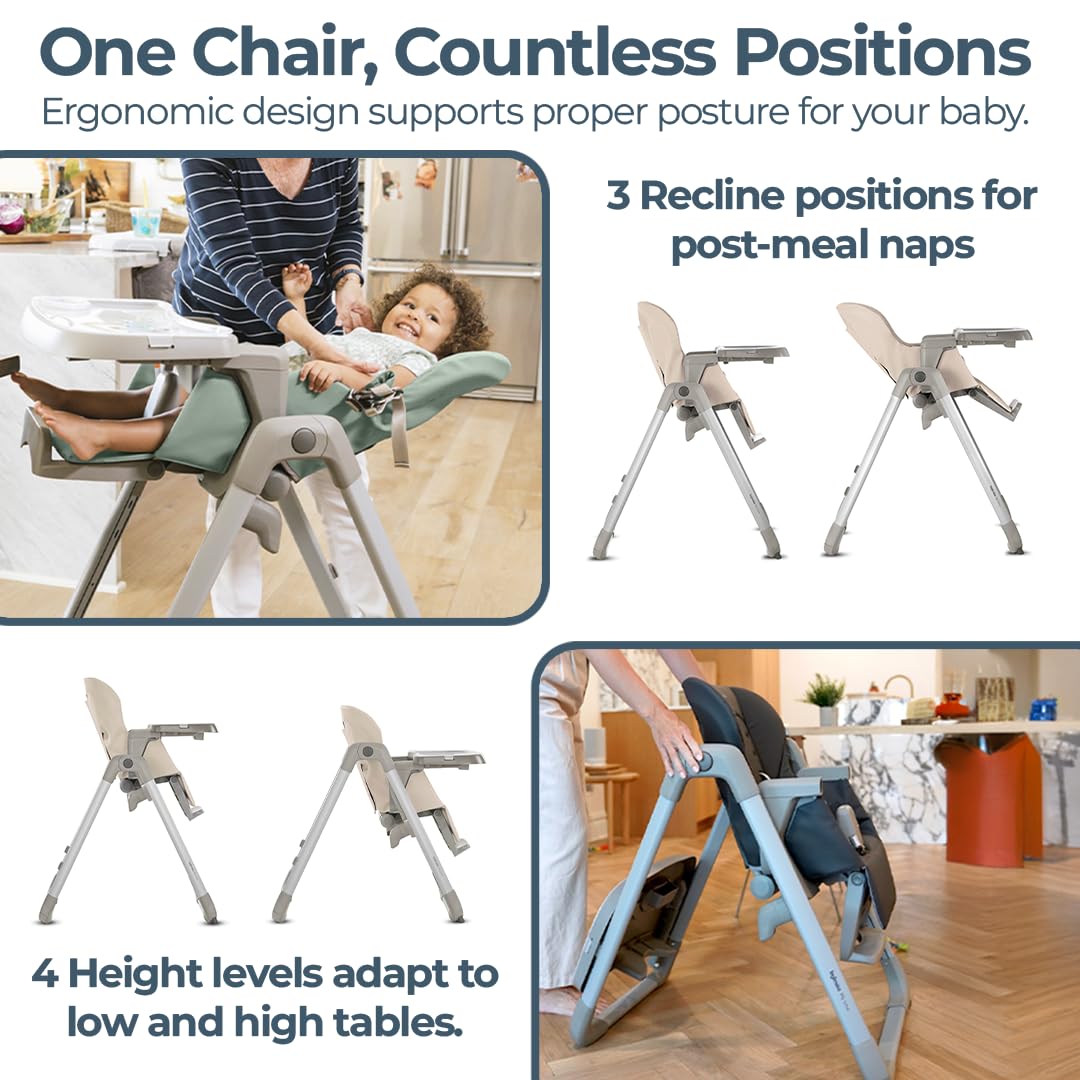 Inglesina My time Highchair, Mint - Adjustable High Chair for Babies & Toddlers, 4 Height & 3 Recline Settings, Collapsible, Tool-Free Assembly, BPA Free, Removable Tray for Easy Cleaning
