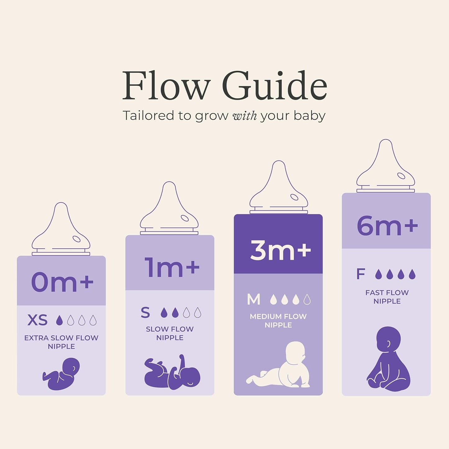 Lansinoh Anti-Colic Baby Bottles for Breastfeeding Babies, 8 Ounces, 6 Count, Includes 6 Medium Flow Nipples, Size M