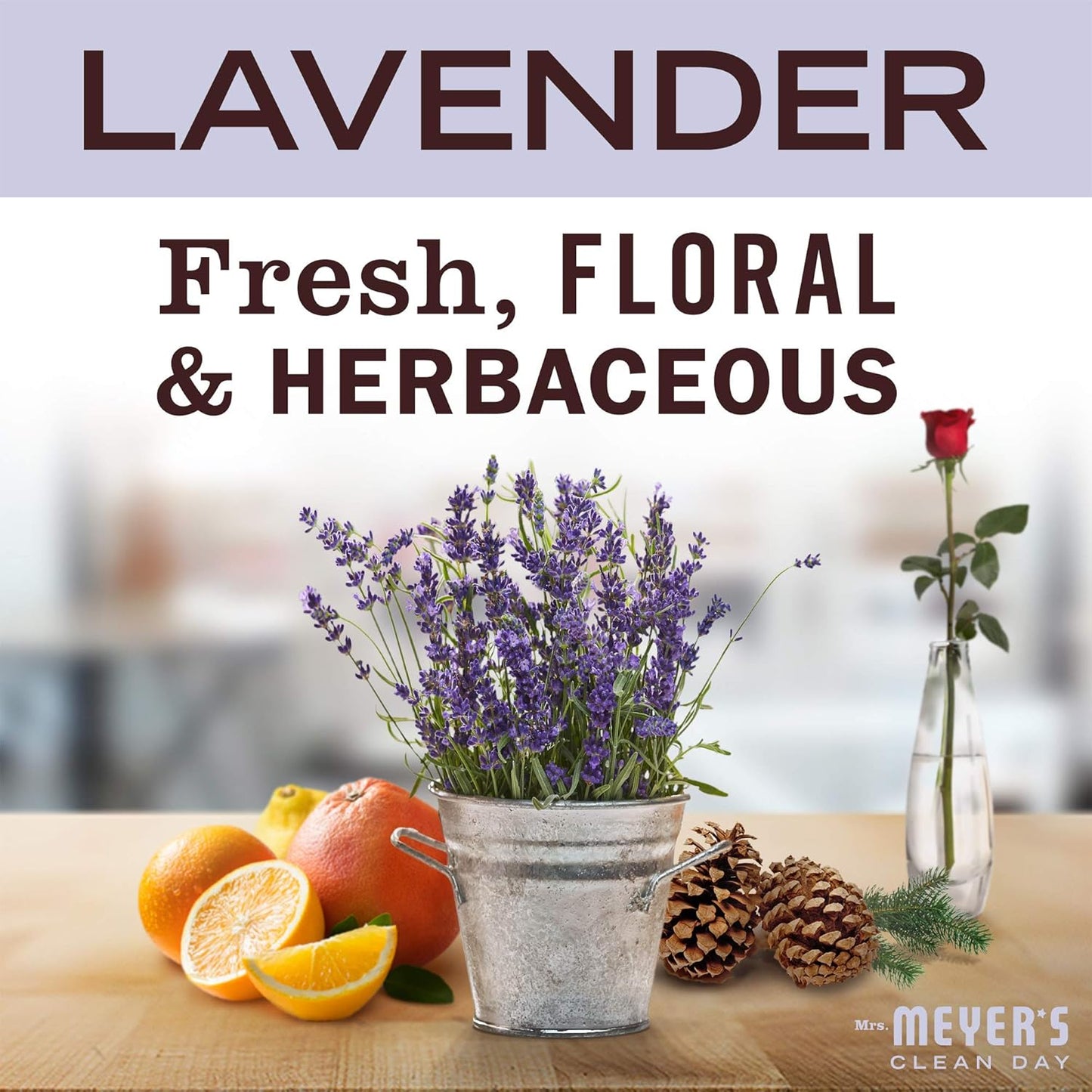 MRS. MEYER'S CLEAN DAY Liquid Laundry Detergent, Biodegradable Formula Infused with Essential Oils, Lavender, 64 oz (64 Loads)
