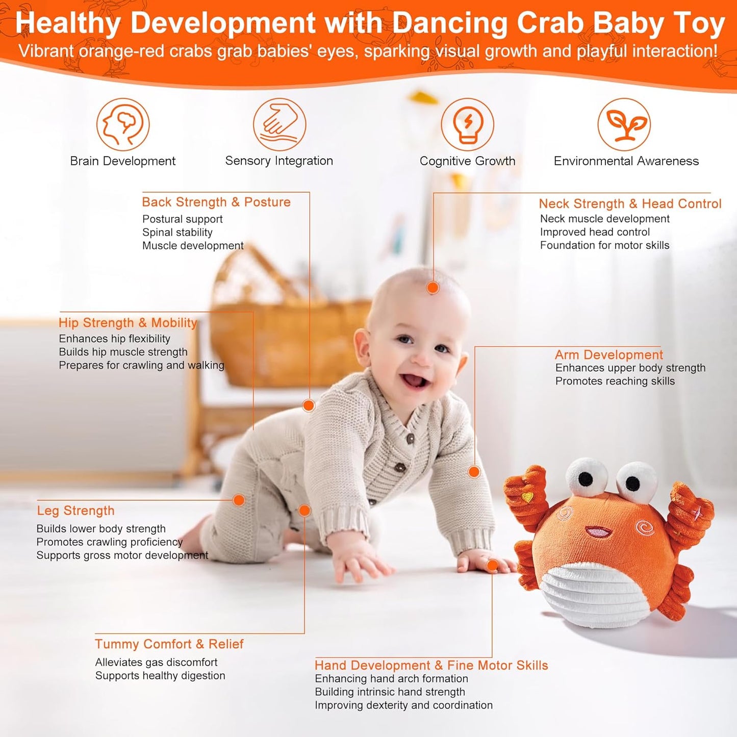 Musical Crawling Crab Toy – Ultra-Soft Dancing Baby Toy, Talking, Bouncing, Interactive Infant Sensory & Tummy-Time Motivator for 0–6 Months & 6–12 Months