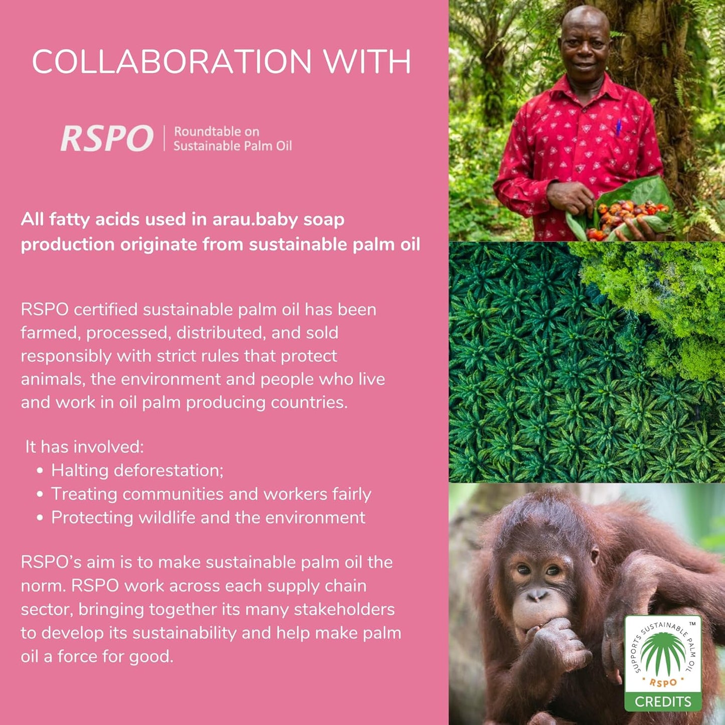 Arau Baby Foam Body Soap Refill, Lavendar Scent, Natural Plant Based Foaming Body Wash for Babies, Infants and Toddlers, Gentle on Sensitive Skin, No Artificial Fragrance or Additives, 15.21 Fl Oz