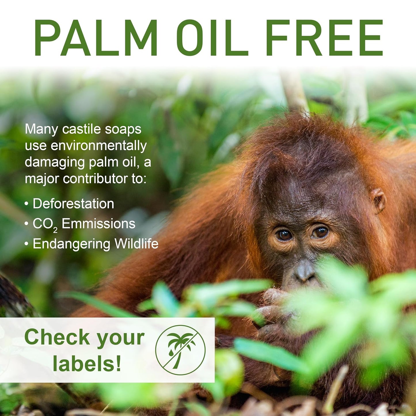 Pure Castile Soap - No Palm Oil, GMO-Free - Gentle Liquid Soap For Sensitive Skin & Baby Wash - All Natural Vegan Formula with Organic Carrier Oils (16 Fl Oz, An Unscented)